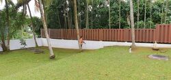 Holland Avenue (D10), Detached #601454701